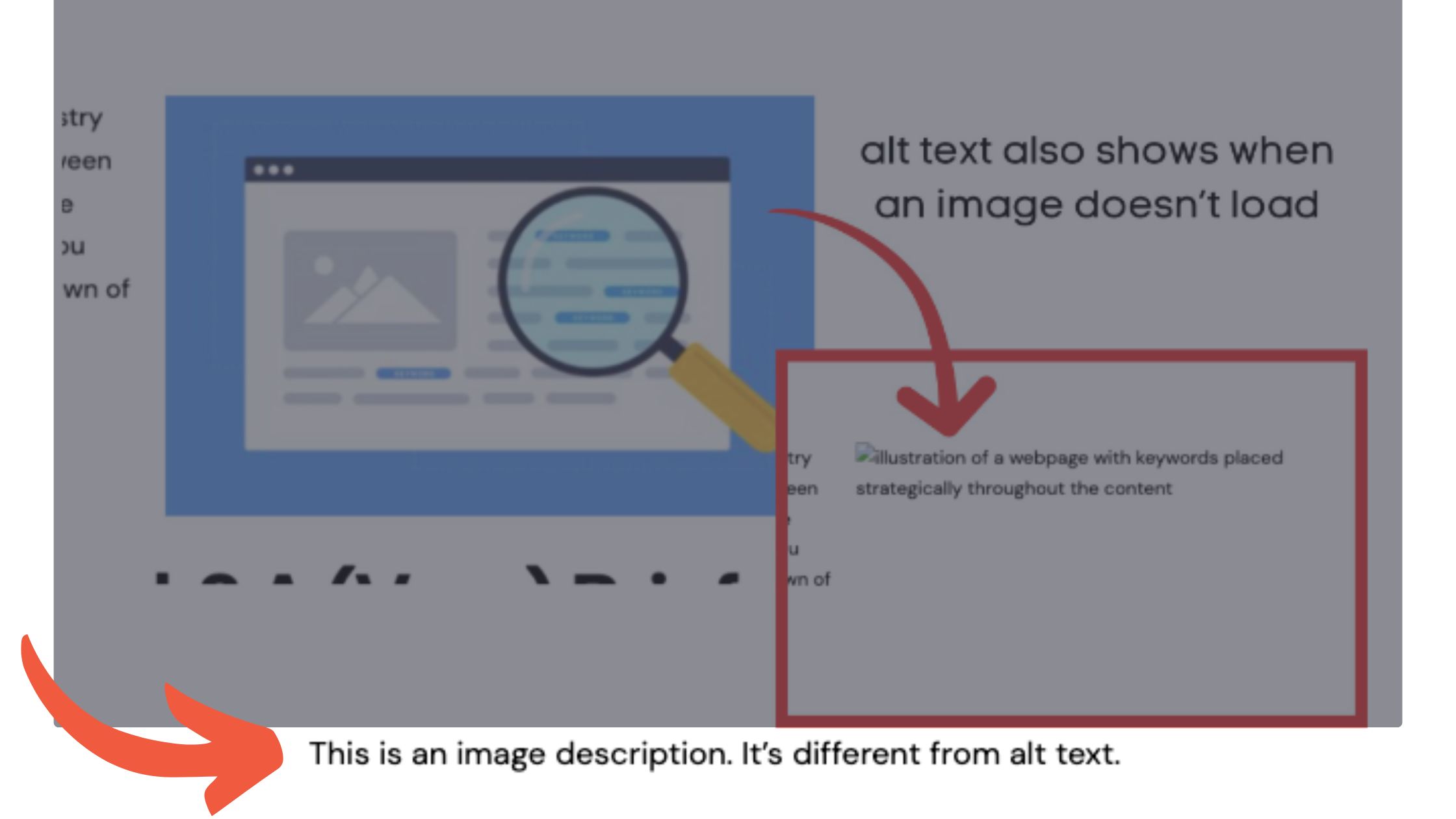 Descriptive Alt Text for the second image based on the article keyword
