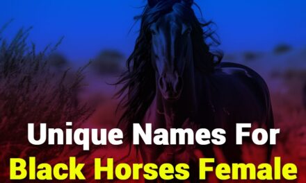 235 Unique Names for Girls: A Compelling List of Unique Names for Black Horses Female