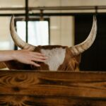 235 Unique Names for Bulls: An Extensive Collection for Diverse Tastes