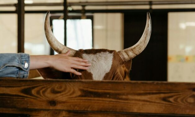 235 Unique Names for Bulls: An Extensive Collection for Diverse Tastes