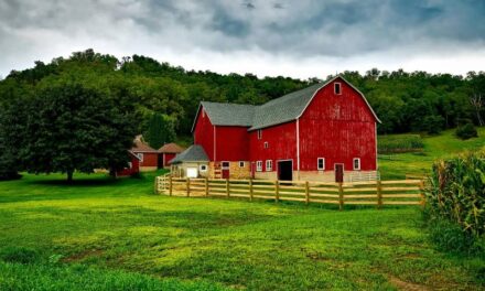 235 Unique Names for Farms: A Distinctive Collection