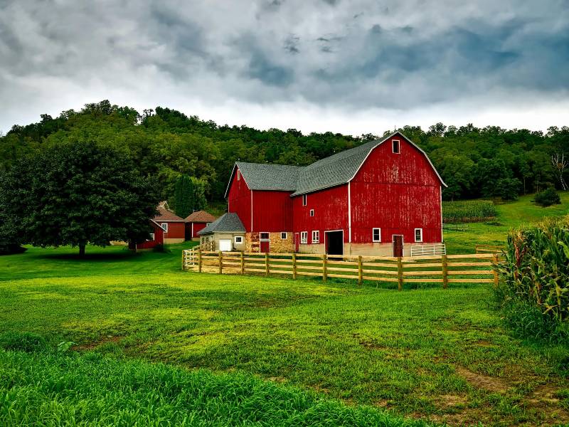 235 Unique Names for Farms: A Distinctive Collection