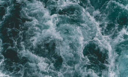 235 Unique Names for Girls: A Compelling List and 243 Unique Names for Boys: Your Preferred List Featuring Unique Names for Water