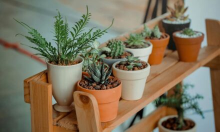 302 Unique Names for Plants: A Curated Collection
