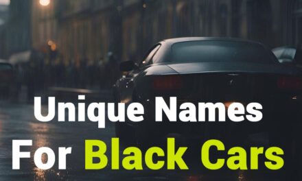 256 Unique Names for Black Cars: A Captivating Collection for Car Enthusiasts