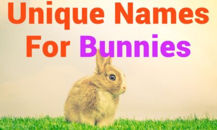 235 Unique Names for Bunnies: A Comprehensive Compilation for Your Adorable Pets
