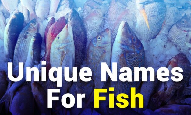 235 Unique Names for Fishes: A Comprehensive Collection for the Modern Aquarium