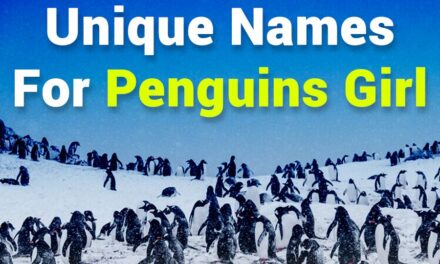 260 Unique Names for Penguins Girl: A Curated List of Enchanting Options