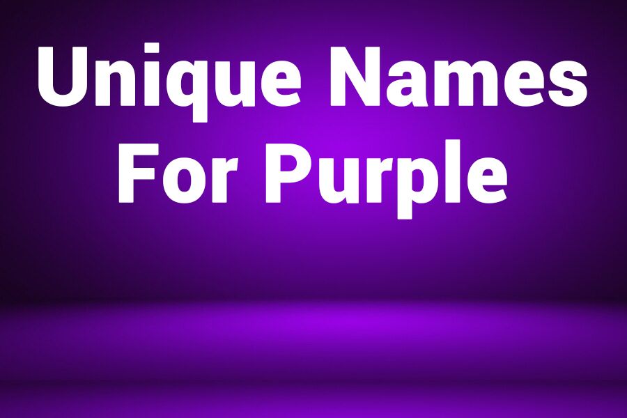 235 Unique Names for Girls and 243 Unique Names for Boys: Your Preferred List of Unique Names for Purple