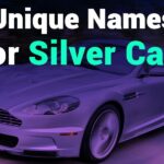 235 Unique Names for Silver Cars Girl: A Compelling List for Car Enthusiasts