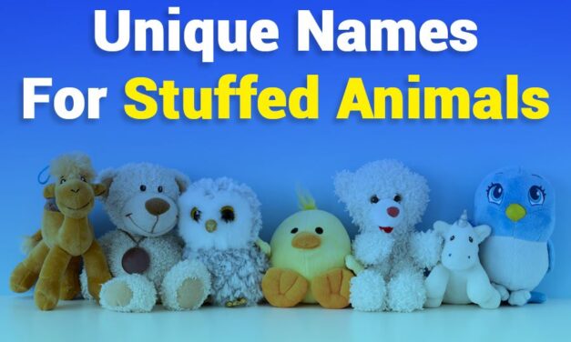235 Unique Names for Stuffed Animals: A Compelling List for Girls & Boys