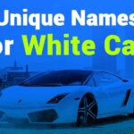 260 Unique Names for White Cars: A Collection to Inspire Your Ride
