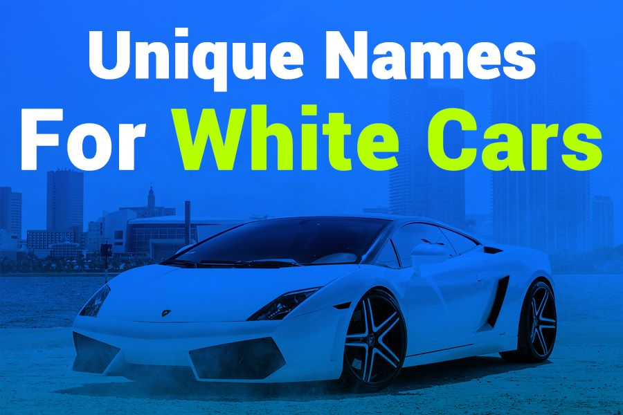 260 Unique Names for White Cars: A Collection to Inspire Your Ride