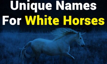 235 Unique Names for White Horses: A Compelling List of Noble Steeds