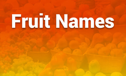 Fruit Names You Should Know: A Complete Guide