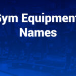 Gym Equipment Names You Should Know